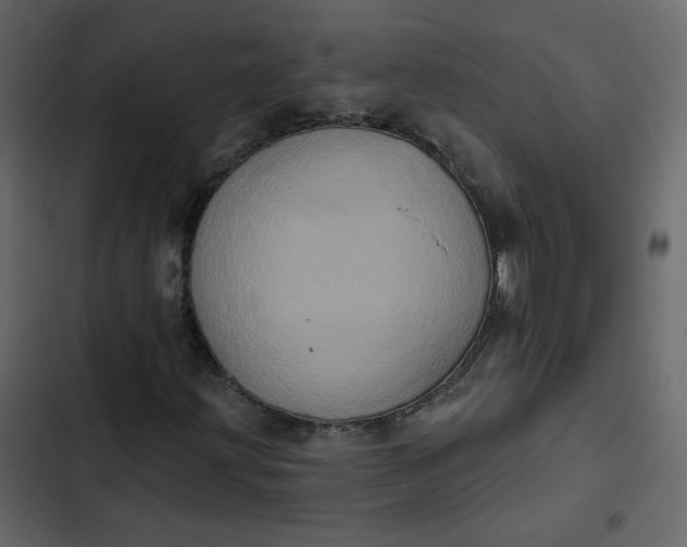 X0000102831203200809021306