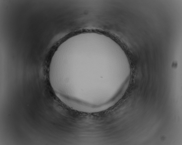 X0000102831207200809021306