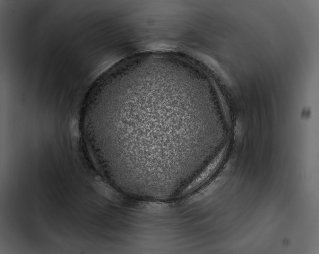 X0000102831209200809021306