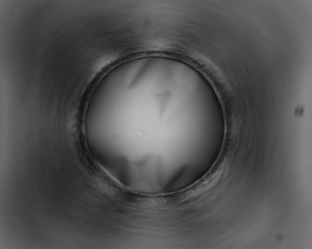 X0000102831210200809021306