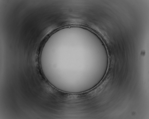 X0000102831211200809021306