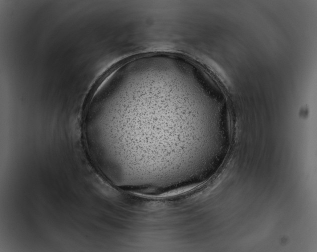 X0000102831212200809021306