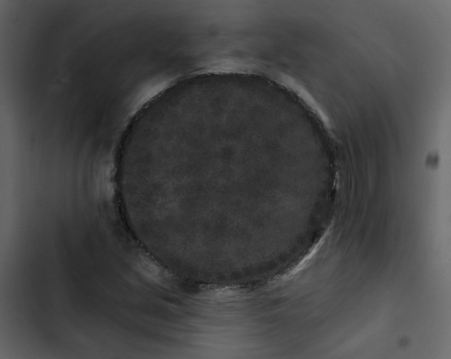 X0000102831213200809021306