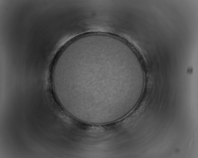 X0000102831215200809021306