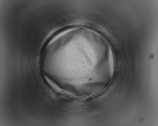 X0000102831216200809021306