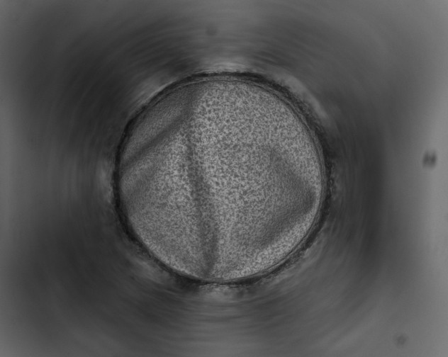 X0000102831217200809021306