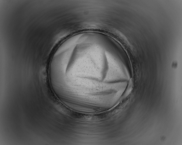 X0000102831218200809021306