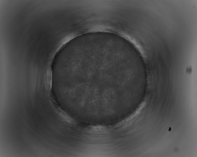 X0000102831219200809021306