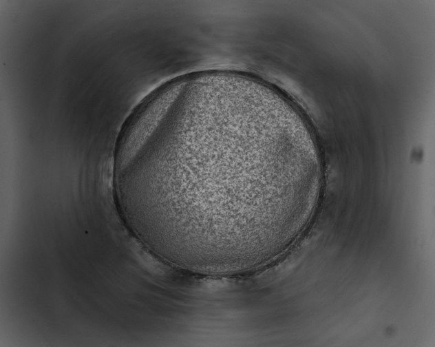 X0000102831220200809021306