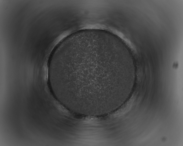 X0000102831221200809021306