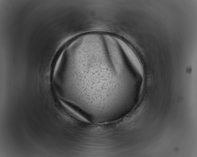 X0000102831222200809021306