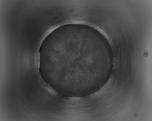 X0000102831223200809021306