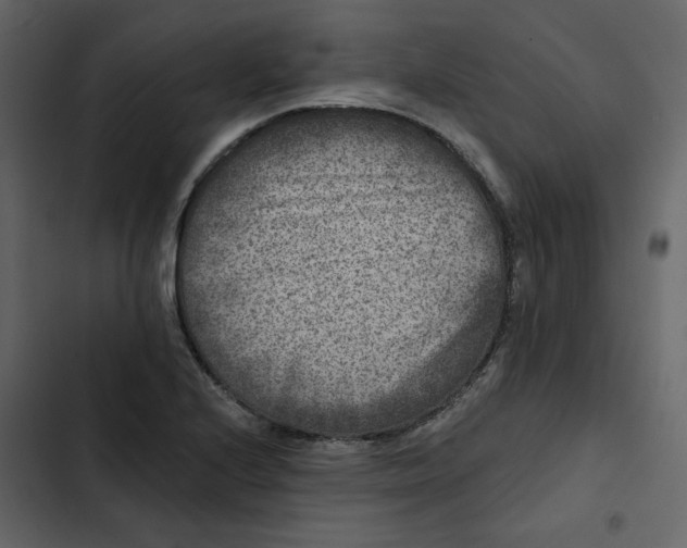 X0000102831224200809021306