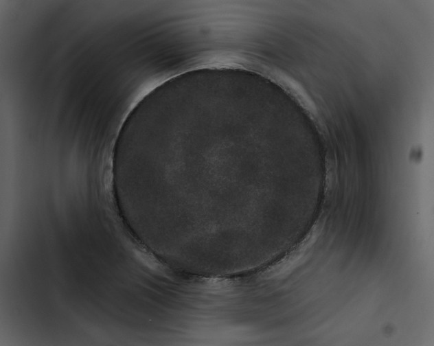 X0000102831226200809021306