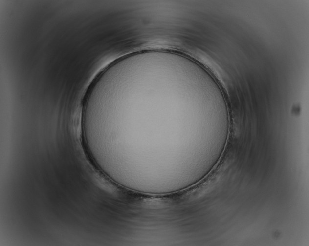 X0000102831227200809021306