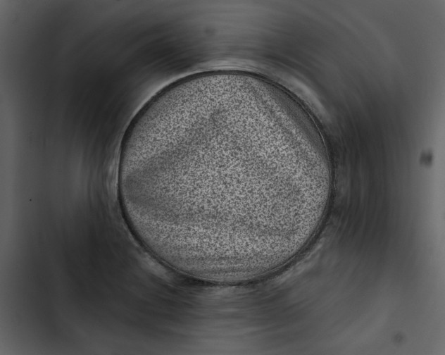 X0000102831228200809021306