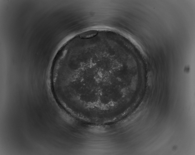 X0000102831229200809021306