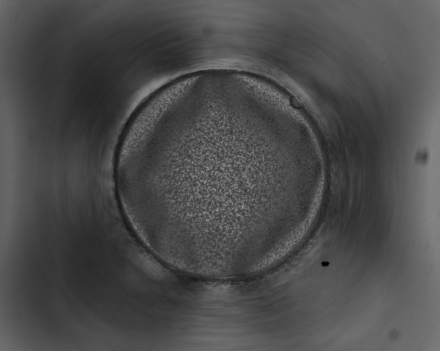 X0000102831230200809021306