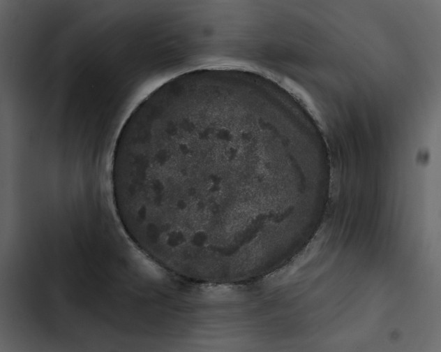 X0000102831231200809021306