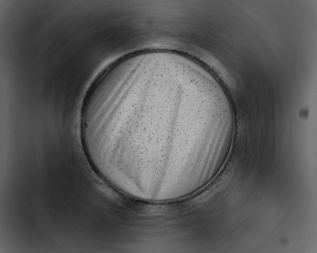 X0000102831232200809021306