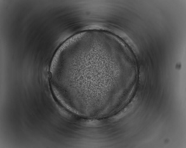 X0000102831233200809021306