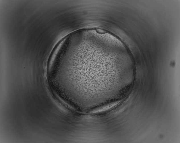 X0000102831234200809021306