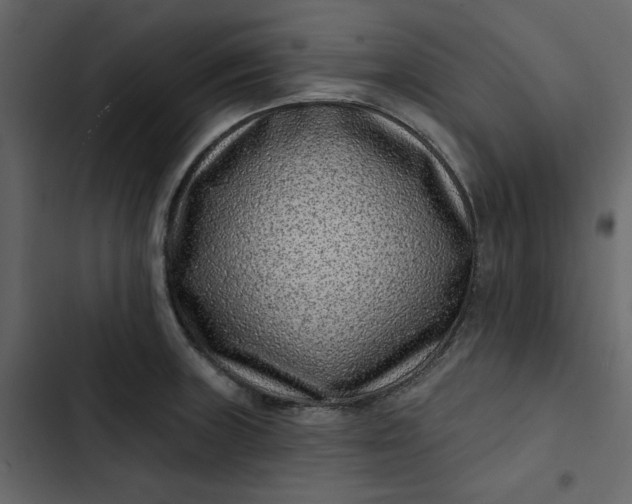 X0000102831235200809021306