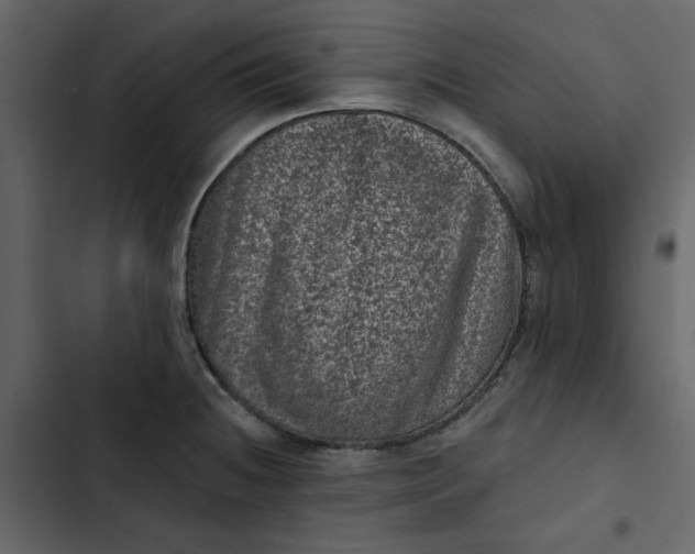 X0000102831236200809021306