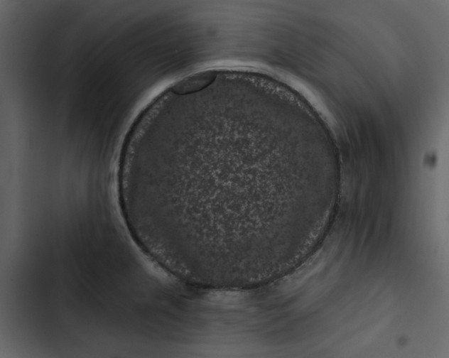 X0000102831237200809021306