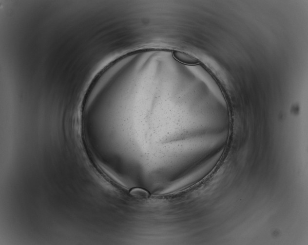 X0000102831238200809021306