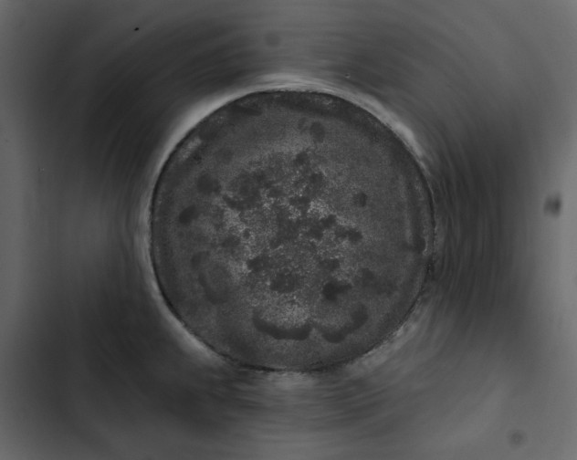 X0000102831239200809021306