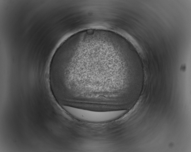 X0000102831240200809021306