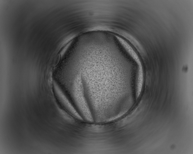 X0000102831241200809021306