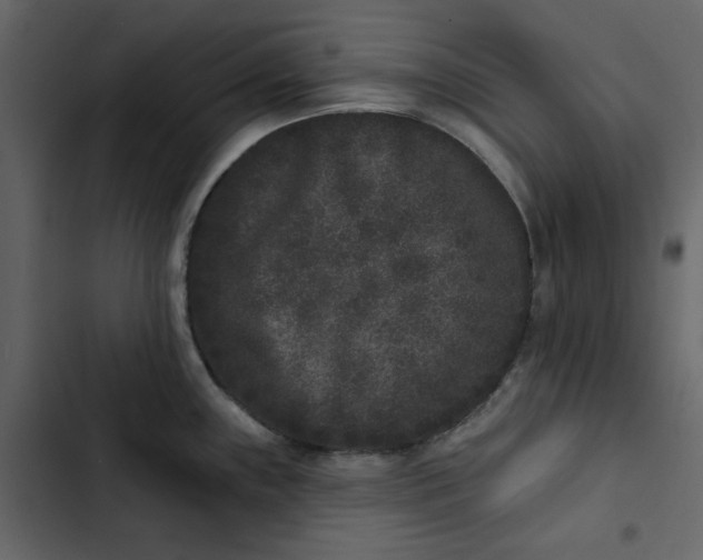 X0000102831243200809021306