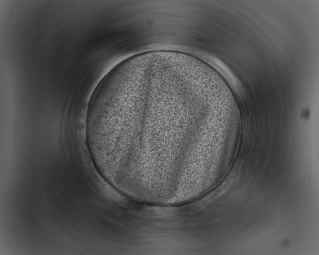 X0000102831244200809021306