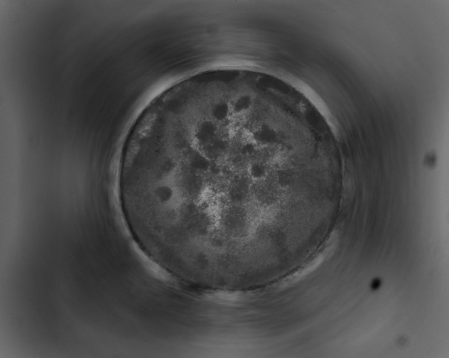 X0000102831245200809021306