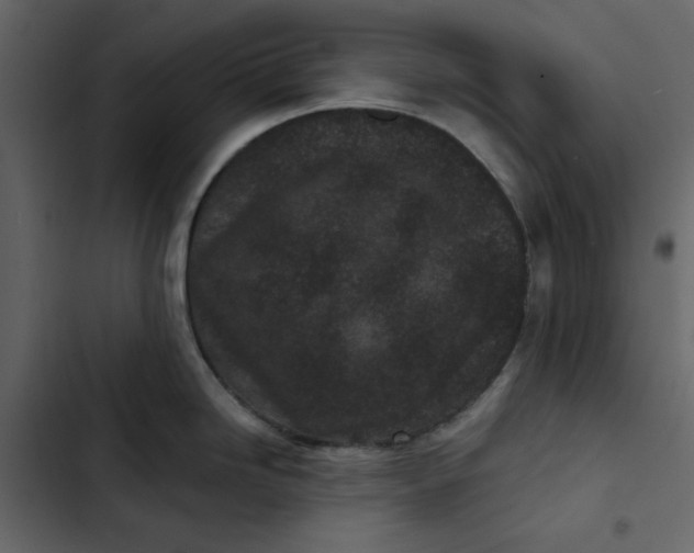 X0000102831246200809021306