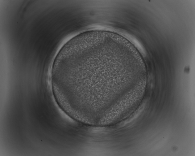 X0000102831247200809021306