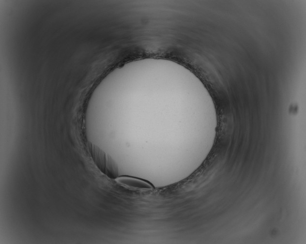 X0000102831249200809021306