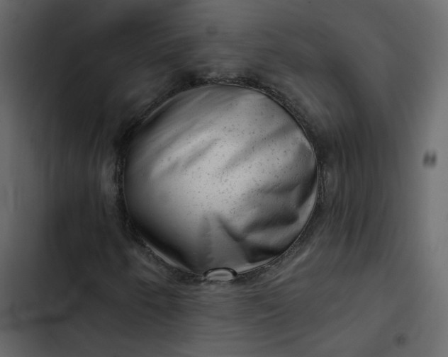 X0000102831250200809021306