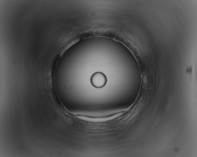 X0000102831252200809021306