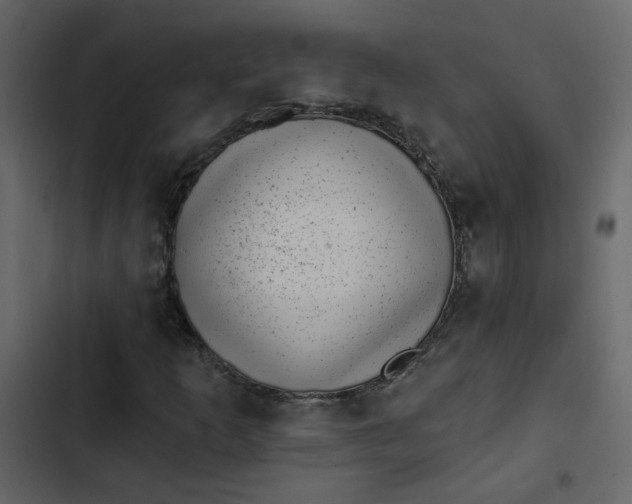 X0000102831253200809021306