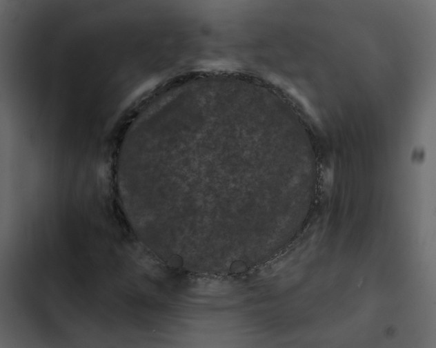 X0000102831254200809021306