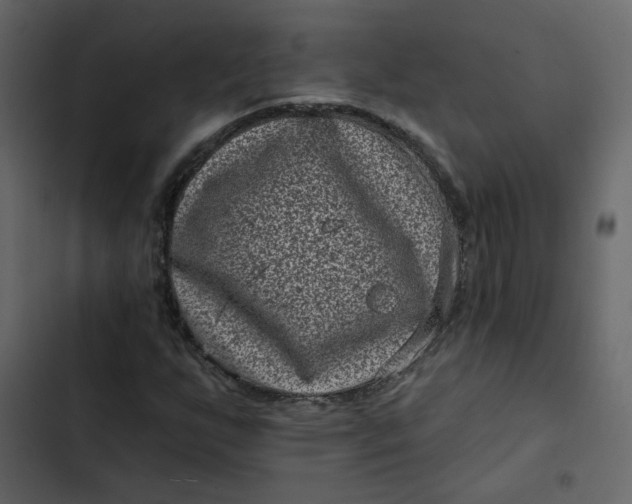 X0000102831255200809021306