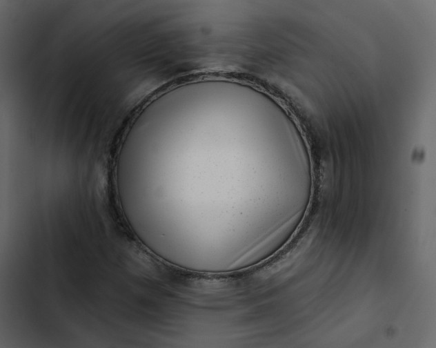 X0000102831257200809021305