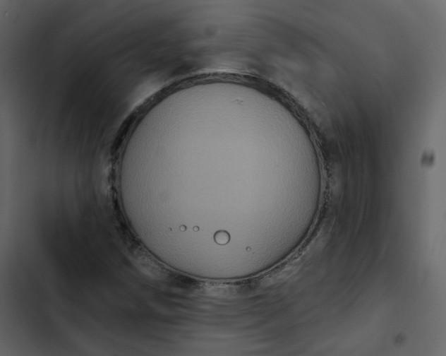 X0000102831258200809021305