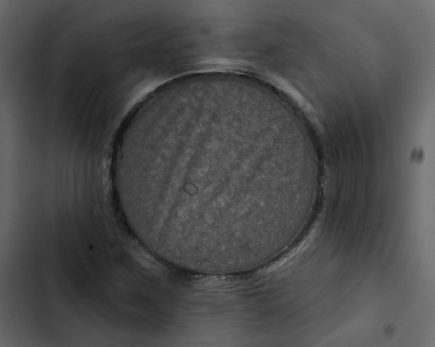 X0000102831259200809021305