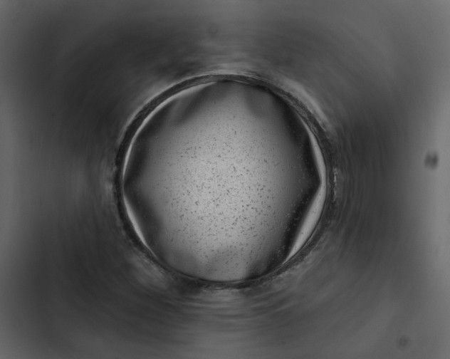 X0000102831260200809021305