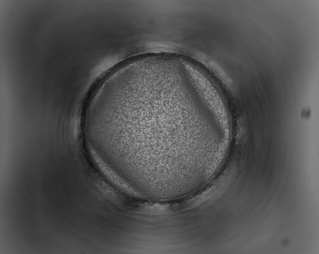 X0000102831261200809021305