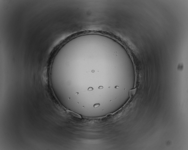 X0000102831262200809021305